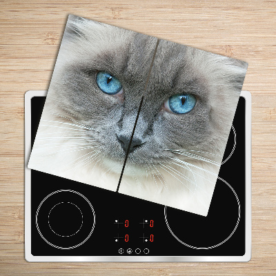 Protège Plaque en verre Yeux bleu chat