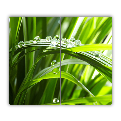 Protège Plaque en verre Goutte d'herbe