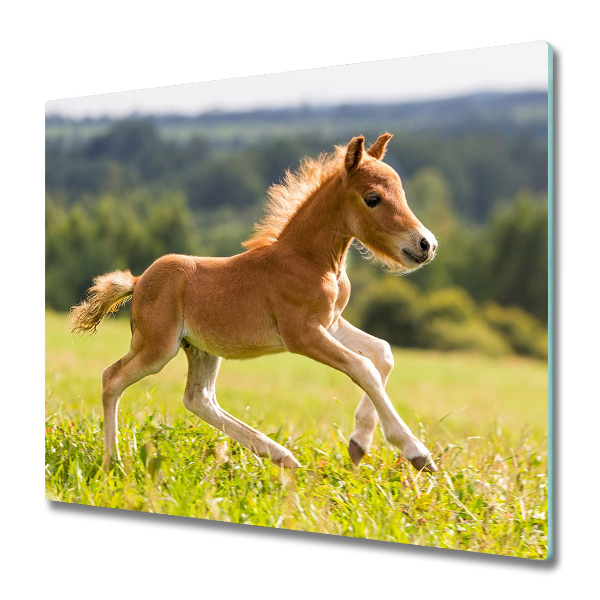 Protège Plaque en verre Poulains au galop