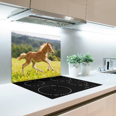 Protège Plaque en verre Poulains au galop