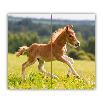 Protège Plaque en verre Poulains au galop