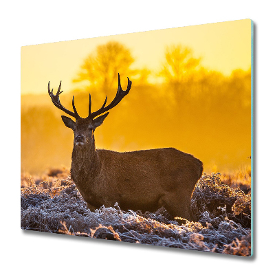 Protège Plaque en verre Lever de soleil de cerf