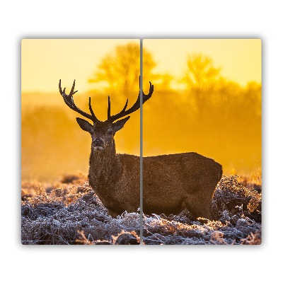 Protège Plaque en verre Lever de soleil de cerf