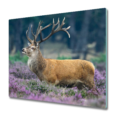 Protège Plaque en verre Cerf à la lavande