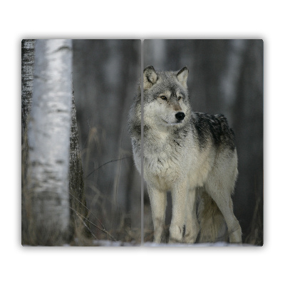 Protège Plaque en verre Loup gris