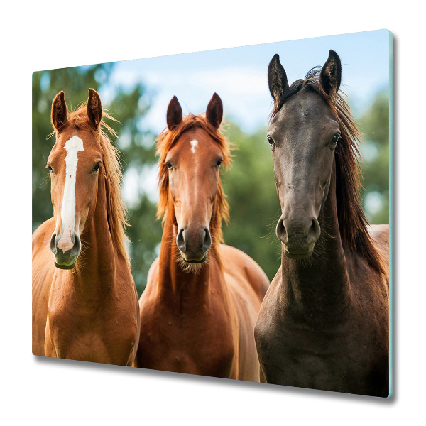 Protège Plaque en verre Trois chevaux