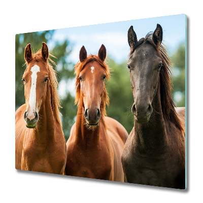 Protège Plaque en verre Trois chevaux