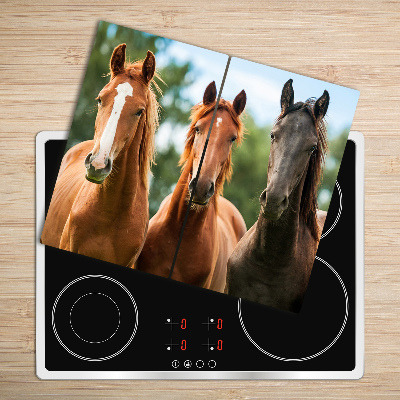 Protège Plaque en verre Trois chevaux