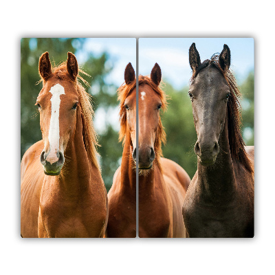 Protège Plaque en verre Trois chevaux