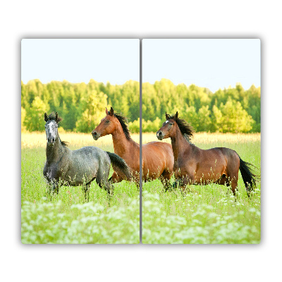 Protège Plaque en verre Chevaux au galop