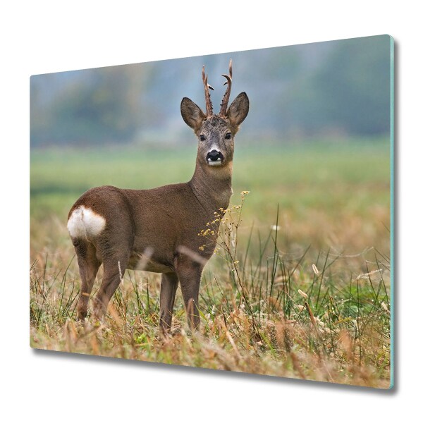 Protège plaque à induction Cerf