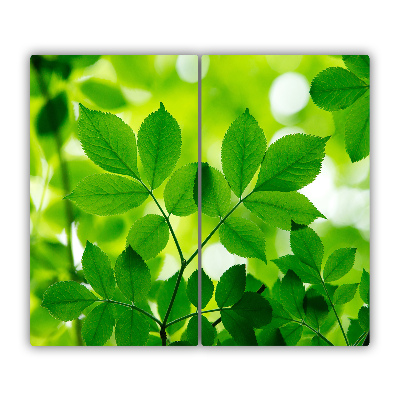 Protège plaque à induction Feuilles vertes