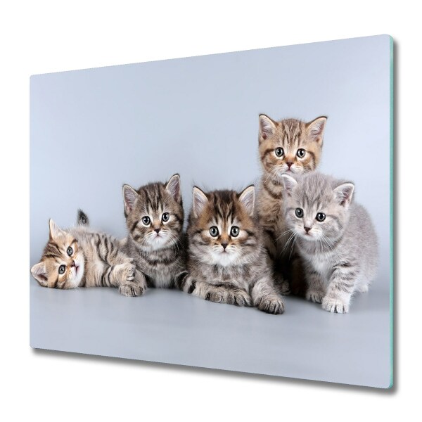 Protège plaque à induction Cinq chats