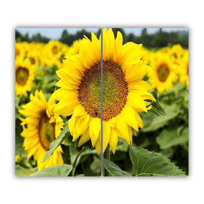 Protège plaque à induction Champ de tournesol