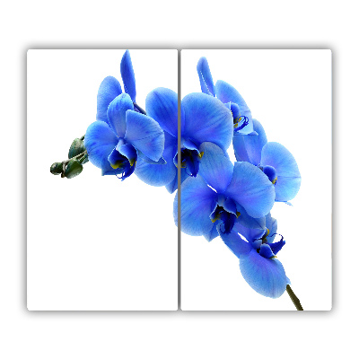 Protège plaque de cuisson Orchidée bleue