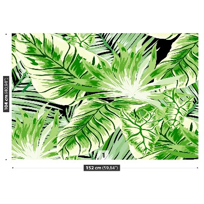Papier peint decoratif Palma monstre