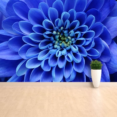 Papier peint photo Fleur bleue