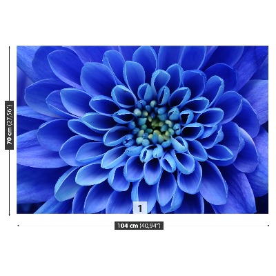 Papier peint photo Fleur bleue