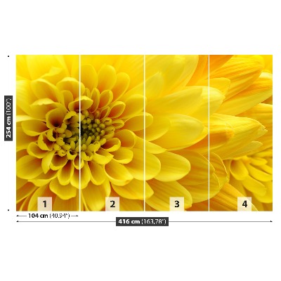 Papier peint photo Fleur jaune