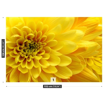 Papier peint photo Fleur jaune
