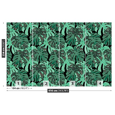 Papier peint decoratif Feuilles monstera