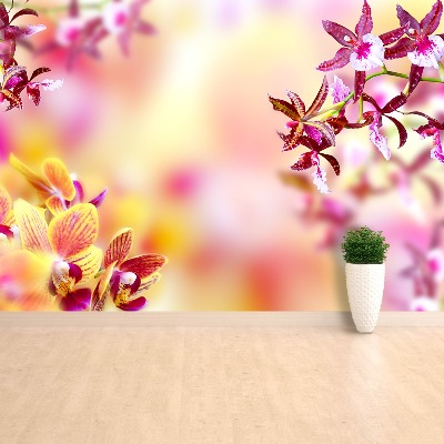 Papier peint photo Orchidée rose