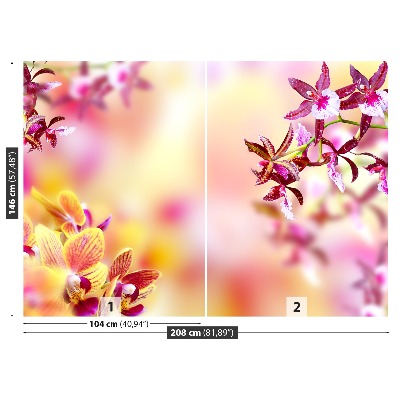 Papier peint photo Orchidée rose