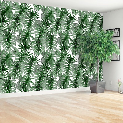 Papier peint decoratif Tropical monstera