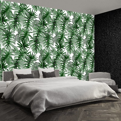 Papier peint decoratif Tropical monstera