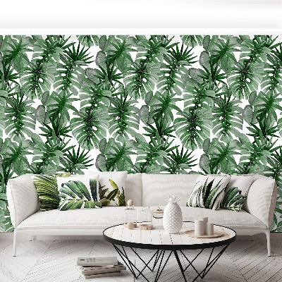 Papier peint decoratif Tropical monstera