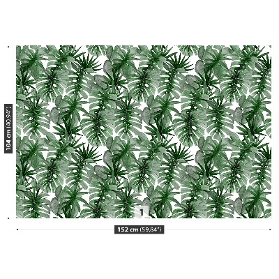 Papier peint decoratif Tropical monstera