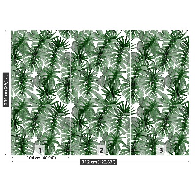 Papier peint decoratif Tropical monstera