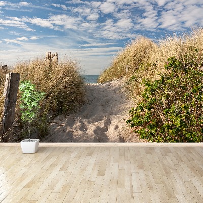 Papier peint Chemin à travers les dunes