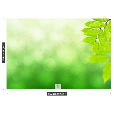 Papier peint photo Branche verte