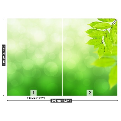 Papier peint photo Branche verte