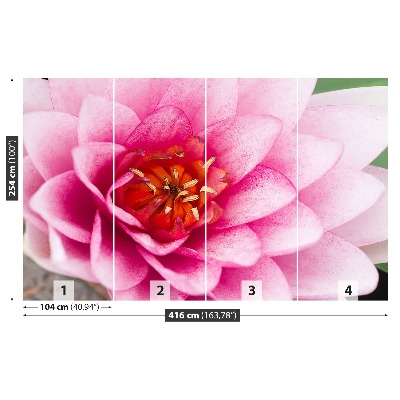 Papier peint photo Fleur de lotus