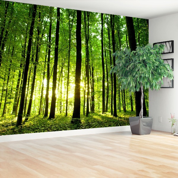 Papier peint photo Mural Photo facile installer polaire vert lac forêt decor 