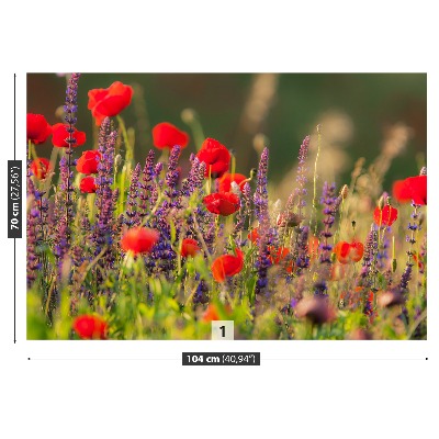 Papier peint photo Fleurs sur le terrain