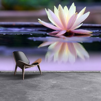 Papier peint photo Lotus
