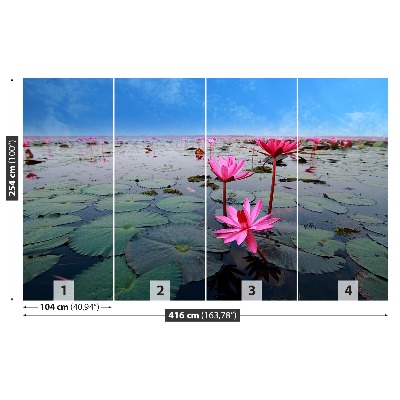Papier peint photo Fleur de lotus