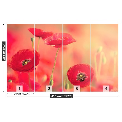 Papier peint photo Coquelicots rouges