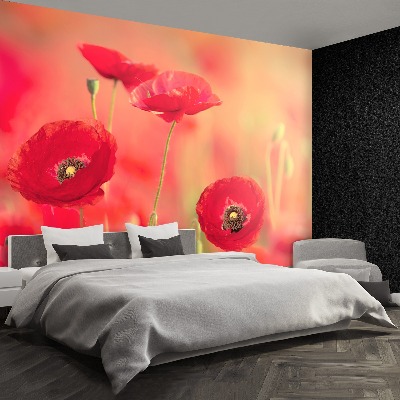 Papier peint photo Coquelicots rouges