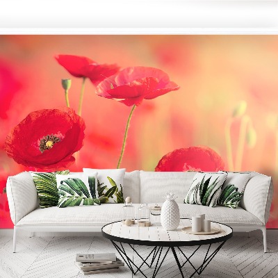 Papier peint photo Coquelicots rouges