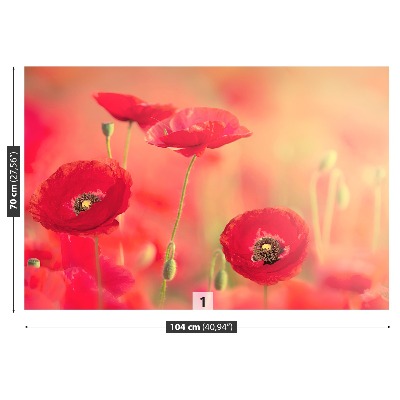 Papier peint photo Coquelicots rouges