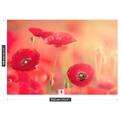 Papier peint photo Coquelicots rouges