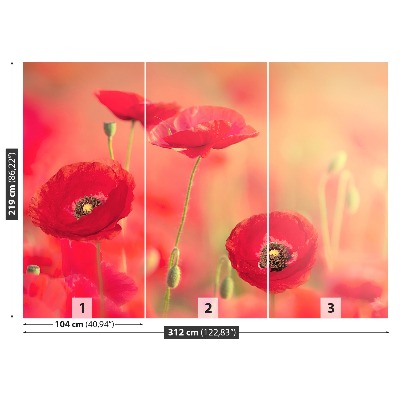 Papier peint photo Coquelicots rouges