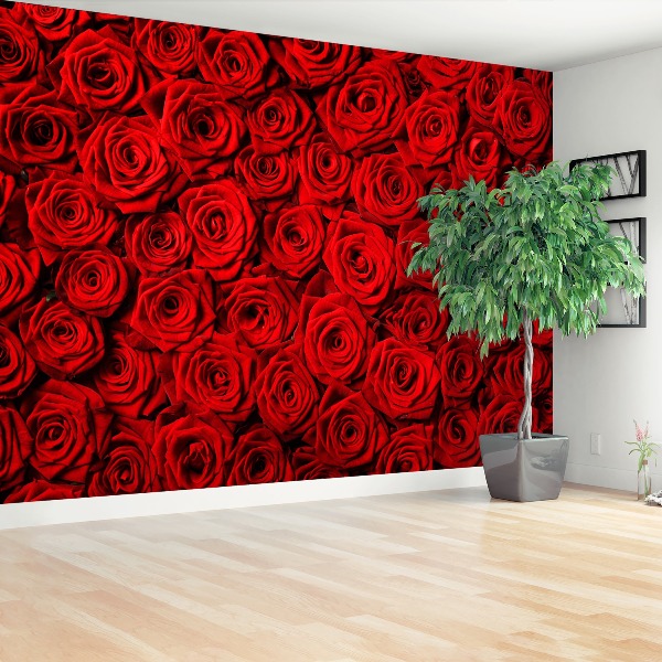 Papier peint photo Roses rouges