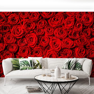 Papier peint photo Roses rouges