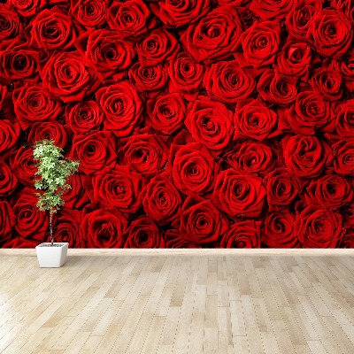 Papier peint photo Roses rouges