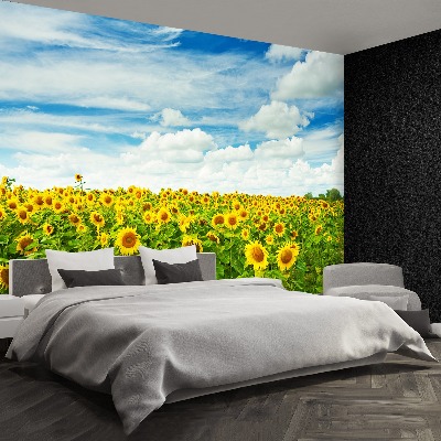 Papier peint Un champ de tournesols